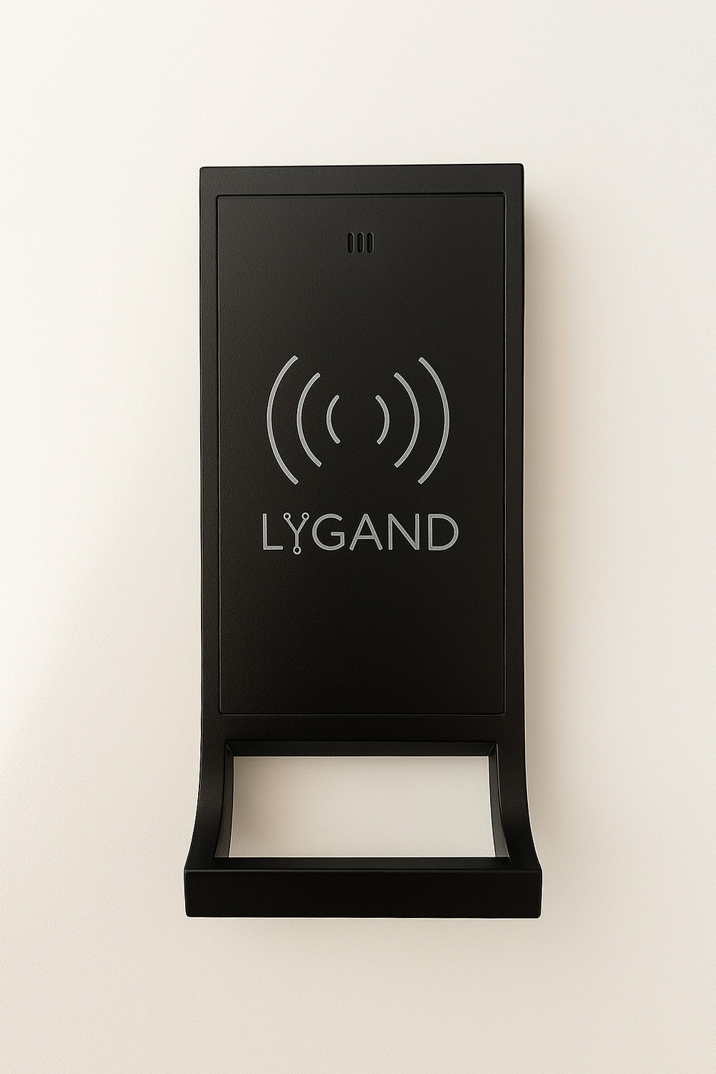 lygand_3_2_sm